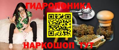круглые Бердск