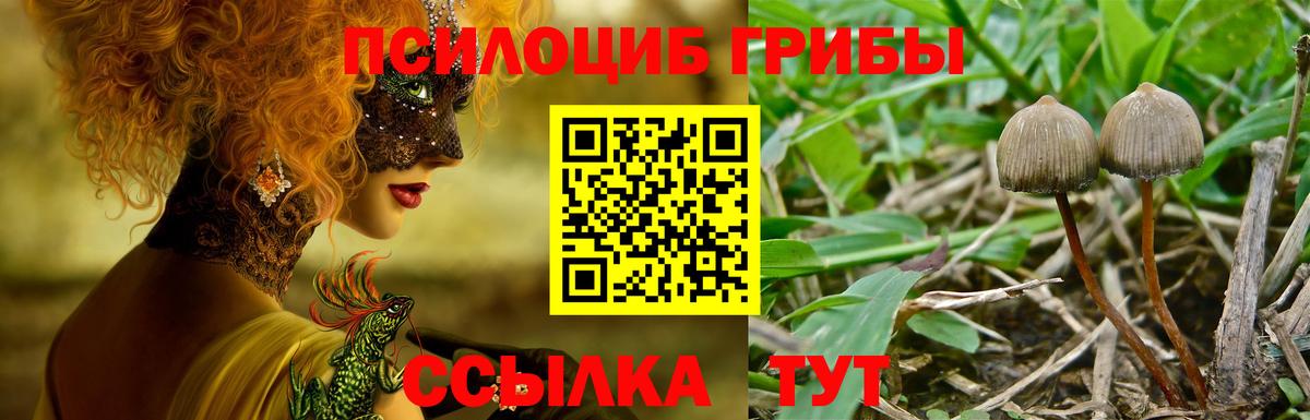 Псилоцибиновые грибы Magic Shrooms Воскресенск
