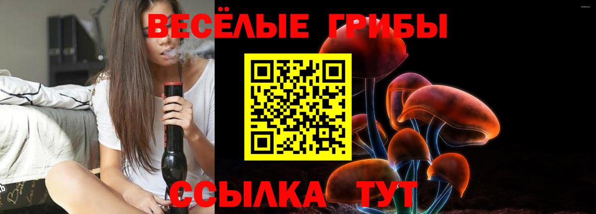 где продают   Псилоцибиновые грибы мухоморы  Вход с VPN  Воскресенск 